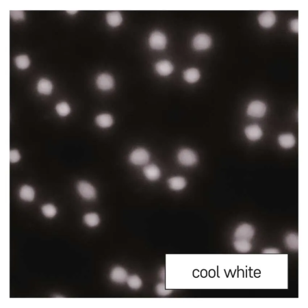 Proiettore LED Decorativo Fiocchi di Neve Cadenti per Interni ed Esterni, Luce Bianca | EMOS DCPC03