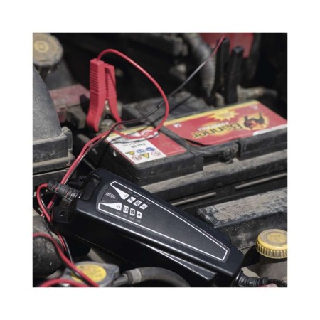 Caricabatteria Intelligente Auto Moto 6/12V 4A Desolfatazione Mantenimento | EMOS N1014