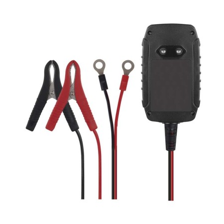 Caricabatteria Moto Scooter Quad 6/12V 0.8A Desolfatazione Mantenimento Inverno | EMOS N1015