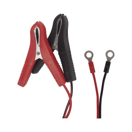 Caricabatteria Moto Scooter Quad 6/12V 0.8A Desolfatazione Mantenimento Inverno | EMOS N1015