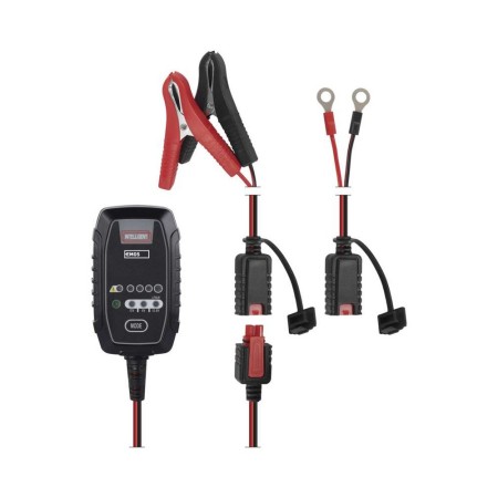 Caricabatteria Moto Scooter Quad 6/12V 0.8A Desolfatazione Mantenimento Inverno | EMOS N1015