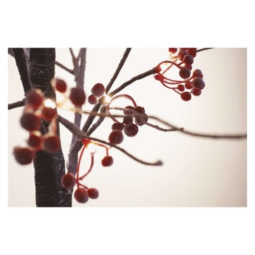 Albero LED con Bacche Rosse 120 cm... Albero LED con Bacche Rosse 120 cm...