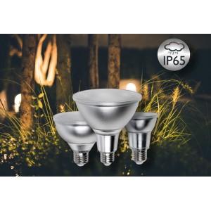 Lampadina LED PAR20 E27 5W 375lm 2700K 36° IP65 Dimmerabile 2