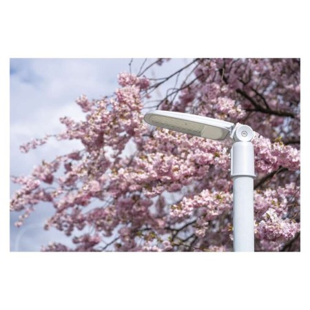 Armatura Stradale LED SOLIS 30W 3600lm 3000K IP65 Snodo Regolabile | EMOS ZO0303