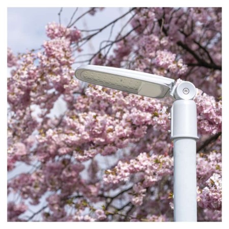 Armatura Stradale LED SOLIS 50W 6000lm 4000K IP65 con Snodo | EMOS ZO0504