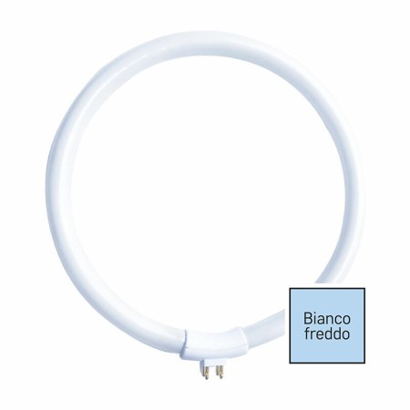 Lampadina Circolina Fluorescente T4 22W 6500K per Estetica Professionale