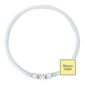 Lampadina Circolina Fluorescente T5 22W 3000K 2GX13 225mm Ricambio 4 Pin Laterali