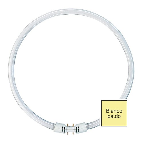 Lampadina Circolina Fluorescente T5 22W 3000K 2GX13 225mm Ricambio 4 Pin Laterali