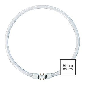 Lampadina Circolina Fluorescente T5 22W 4000K 2GX13 225mm Ricambio 4 Pin Laterali
