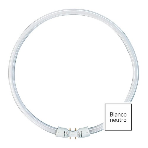Lampadina Circolina Fluorescente T5 22W 4000K 2GX13 225mm Ricambio 4 Pin Laterali