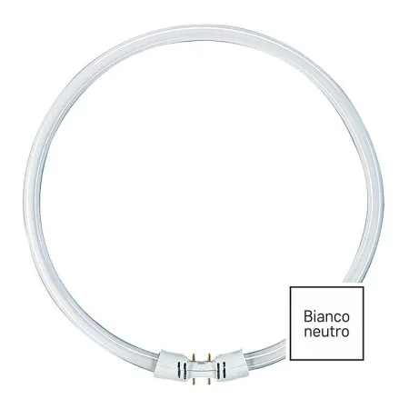 Lampadina 2GX13 22W 4000K bianco neutro circolina T5 ricambio plafoniera 225mm