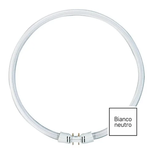 Lampadina 2GX13 40W 4000K Circolina Fluorescente T5 300mm Bianco Neutro Ricambio