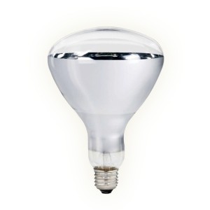 Lampadina Infrarossi R125...