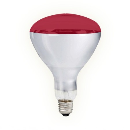 Lampadina Infrarossi R125 250W - Riscaldamento Alimenti e Terapia
