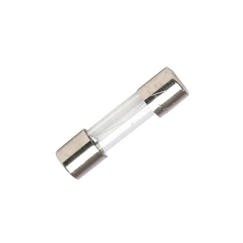 Fusibile ritardato 5x20 vetro 0,05A 250V tipo T confezione 10 pezzi Fusibile ritardato 5x20 vetro 0,05A 250V tipo T confezione 10 pezzi