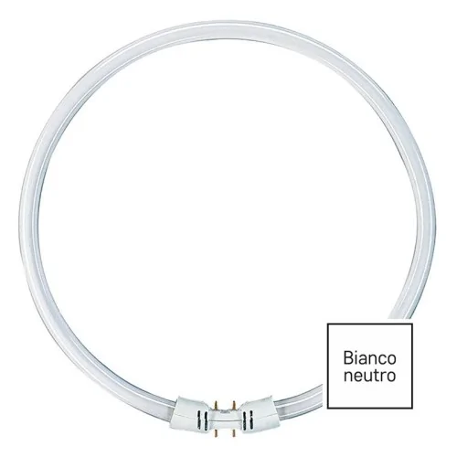 Lampadina 2GX13 55W 4000K bianco neutro circolina T5 ricambio plafoniera 300mm