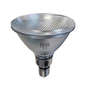 PAR38 ALOGENA E27 120W 30°...