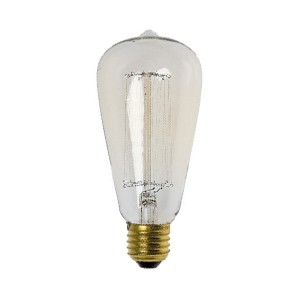 Lampadina filamento carbonio E27 60W ST64 ambra.