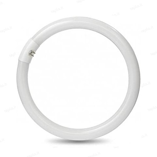 CIRCOLINA TRIFOSFORO G10Q 40W 4100K LAMPITALIA
