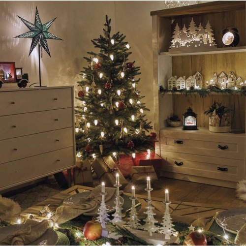 CATENA LUMINOSA 50 LED PIGNA LUCE... CATENA LUMINOSA 50 LED PIGNA LUCE...