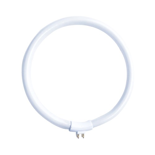Lampadina Circolina Fluorescente T4...